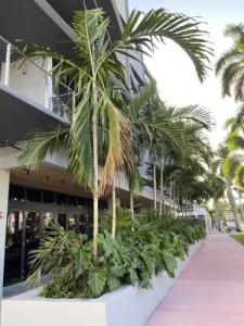 Urbanica The Euclid - 27