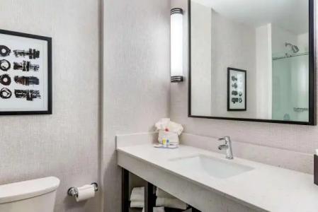 Comfort Inn & Suites Miami International Airport - 8