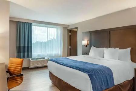 Comfort Inn & Suites Miami International Airport - 31