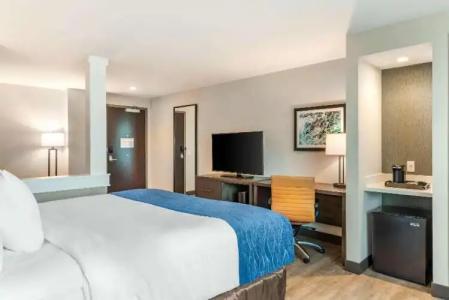 Comfort Inn & Suites Miami International Airport - 33