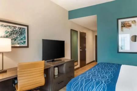 Comfort Inn & Suites Miami International Airport - 2
