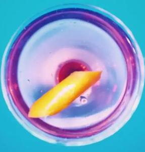 Oh la la ! Bar Paris Bastille - 9