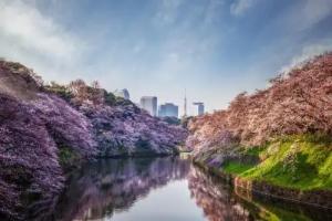 Hotels in Tokyo