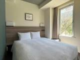 Standard Double room with park view