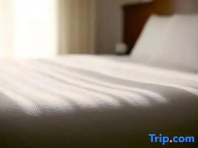 Mitsui Garden Sapporo West - 43