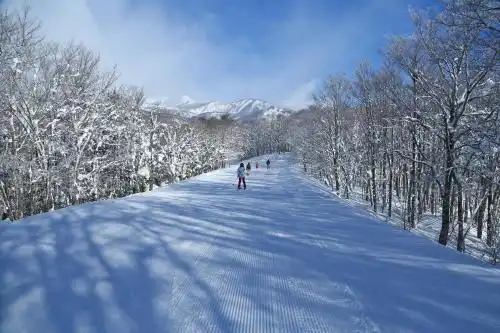 Square 8 Hakuba Retreat by Unplan - 18