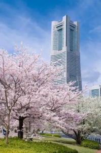 THE KAHALA & Resort YOKOHAMA - 0