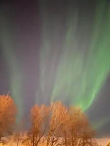 Norðurland - 21