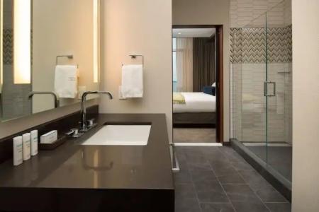 Embassy Suites By Hilton Seattle Downtown Pioneer Square - 104