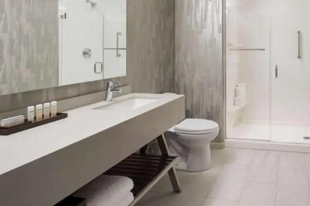 Embassy Suites by Hilton Seattle Downtown Pioneer Square - 8