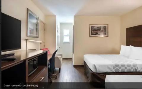 Downtown Hollywood Gardens Inn & Suites - 66