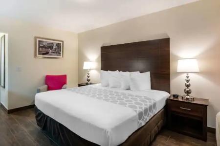 Downtown Hollywood Gardens Inn & Suites - 51