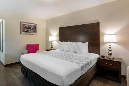 Downtown Hollywood Gardens Inn & Suites - 12