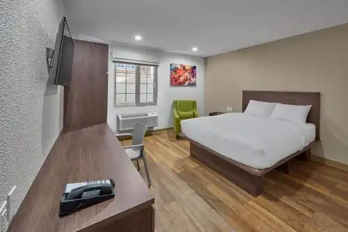 Extended Suites Cancun Cumbres - 4