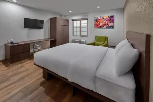 Extended Suites Cancun Cumbres - 12