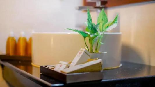 Royal Classic Resort - 52