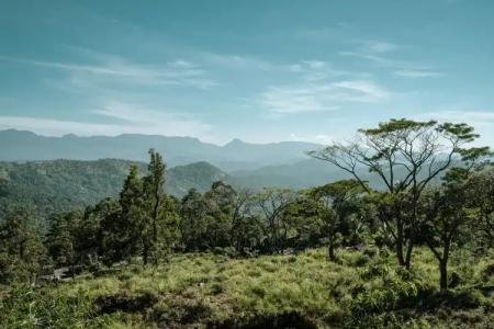 W15 Hanthana Estate - 14