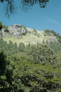 W15 Hanthana Estate - 28