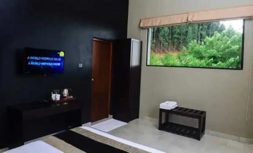 Pine Hill Residence - 2