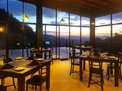 Pine Hill Residence - 18