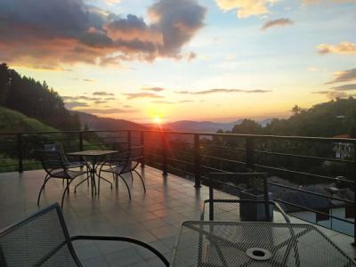 Pine Hill Residence - 6