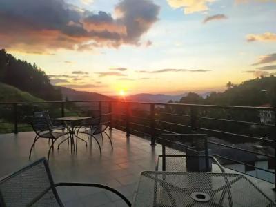 Pine Hill Residence - 40