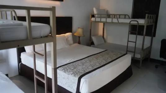 Amaluna Resorts - 69