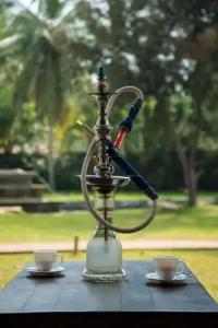 Amaluna Resorts - 64