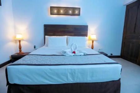 Amaluna Resorts - 100