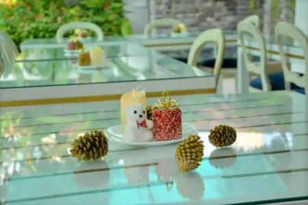 Negombo New Queen's Palace - 12