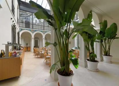 H10 Palacio Colomera - 19