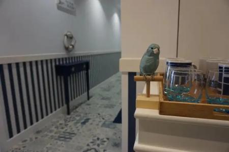 Hostal Boutique Es Portalet - 7