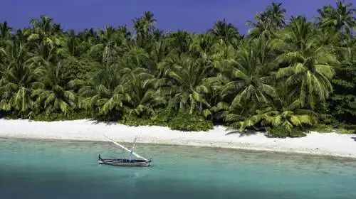 Mi Lugar Maldives - 6