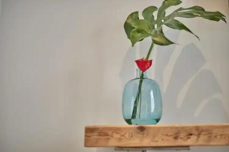 Ca n'Alexandre - Adults Only - 34