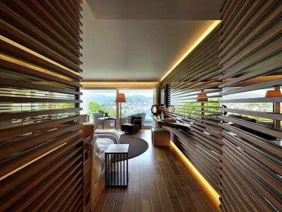 The View Lugano - 61