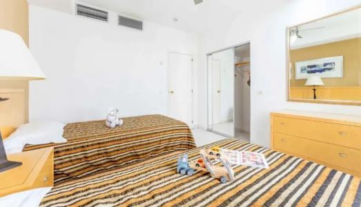 Hollywood Mirage - 29