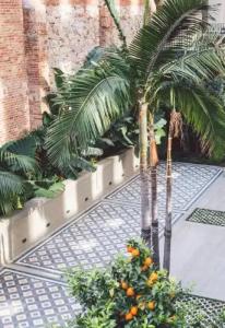 Seventy Barcelona - 24