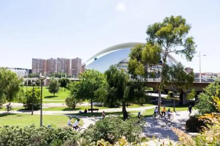 Sercotel Valencia Alameda 41 - 19