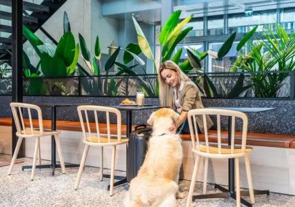 Citybox Tallinn City Center - 25