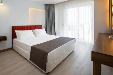 Citrus Luna Suite - 70