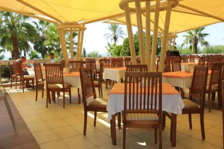 AQI Pegasos Royal - 18