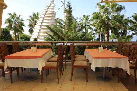 AQI Pegasos Royal - 17