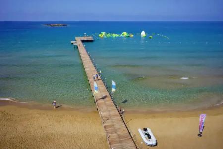 AQI Pegasos Royal - 11