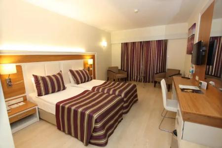 AQI Pegasos Royal - 21