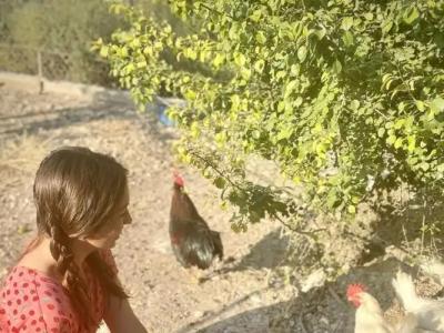 Alacati Barbarossa - 43