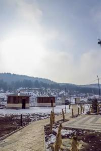 Alaska Resort - 222