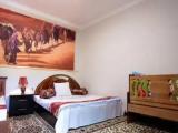 Deluxe Double Room with Shower