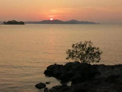 Jansom Beach Resort - 14