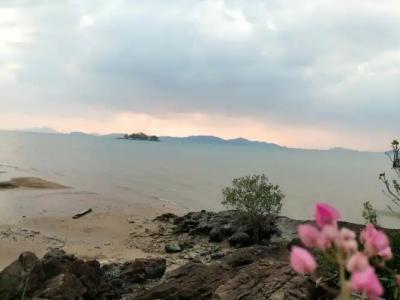 Jansom Beach Resort - 11