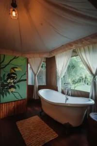 9 Hornbills Tented Camp - SHA Plus - 74
